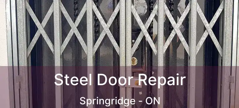  Steel Door Repair Springridge - ON