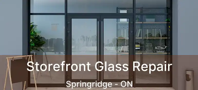  Storefront Glass Repair Springridge - ON
