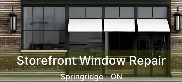  Storefront Window Repair Springridge - ON