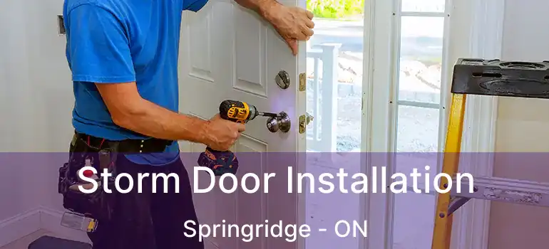  Storm Door Installation Springridge - ON