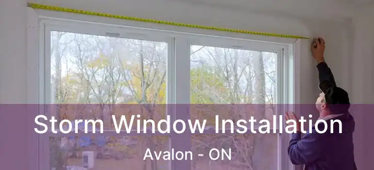  Storm Window Installation Avalon - ON