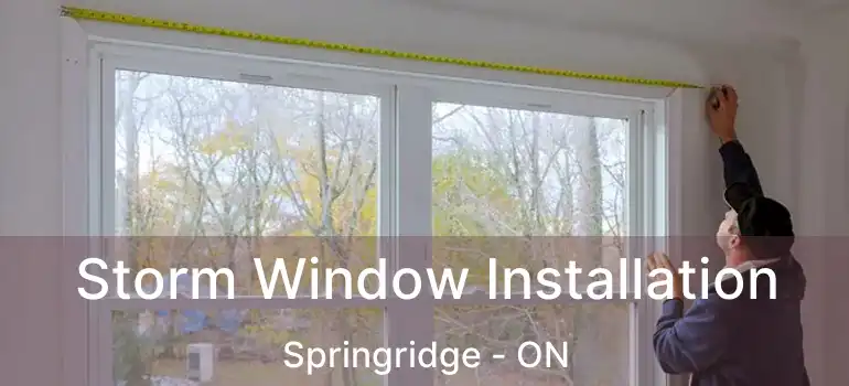  Storm Window Installation Springridge - ON