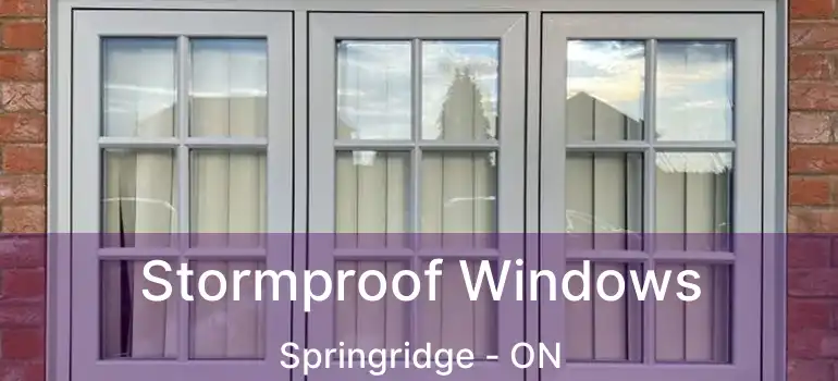  Stormproof Windows Springridge - ON