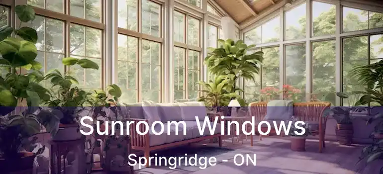  Sunroom Windows Springridge - ON