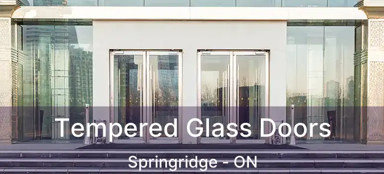  Tempered Glass Doors Springridge - ON