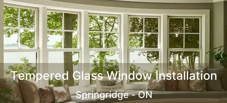  Tempered Glass Window Installation Springridge - ON