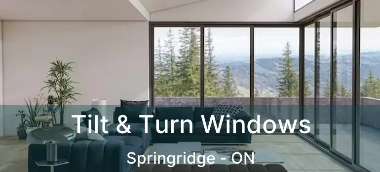 Tilt & Turn Windows Springridge - ON