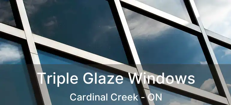  Triple Glaze Windows Cardinal Creek - ON