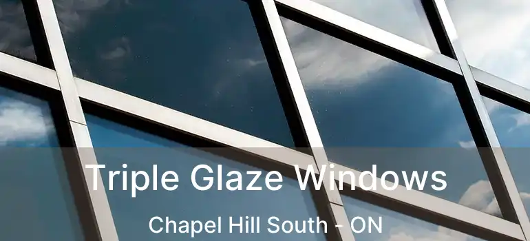  Triple Glaze Windows Chapel Hill South - ON