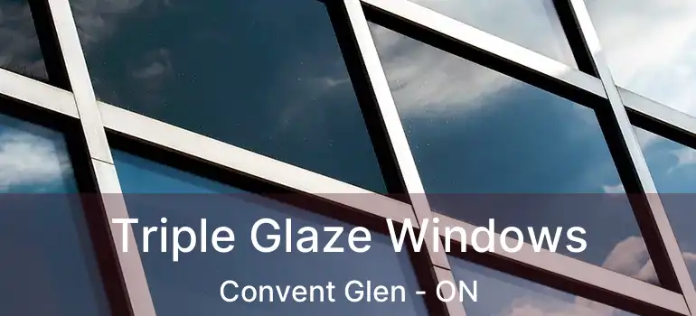 Triple Glaze Windows Convent Glen - ON