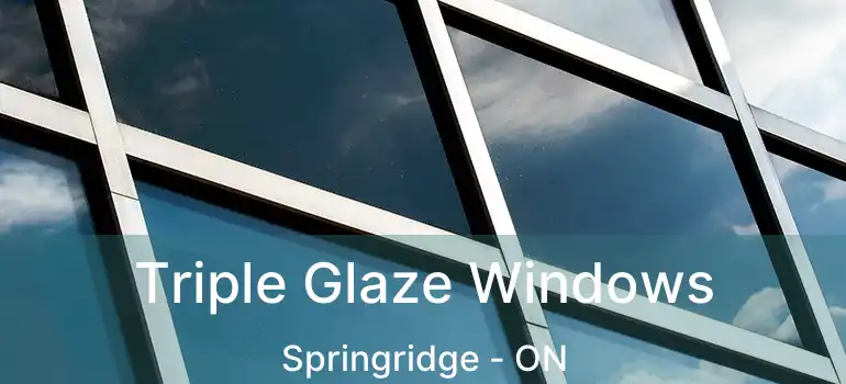  Triple Glaze Windows Springridge - ON