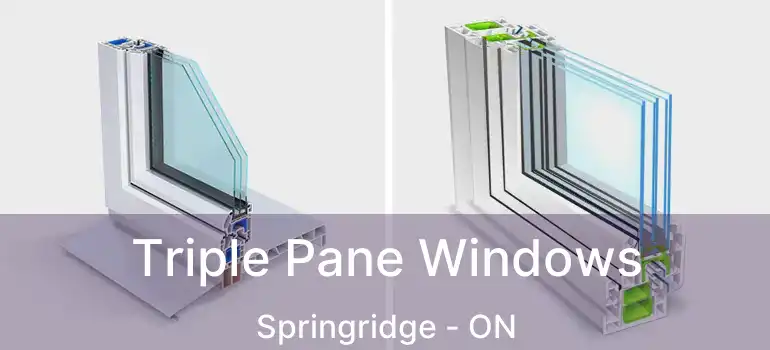  Triple Pane Windows Springridge - ON