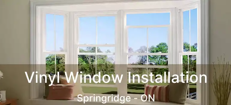 Vinyl Window Installation Springridge - ON