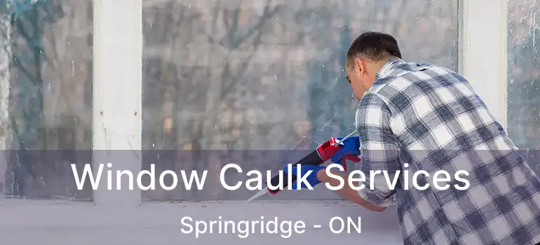  Window Caulk Services Springridge - ON