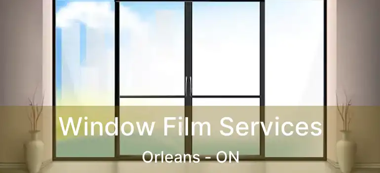  Window Film Services Orleans - ON