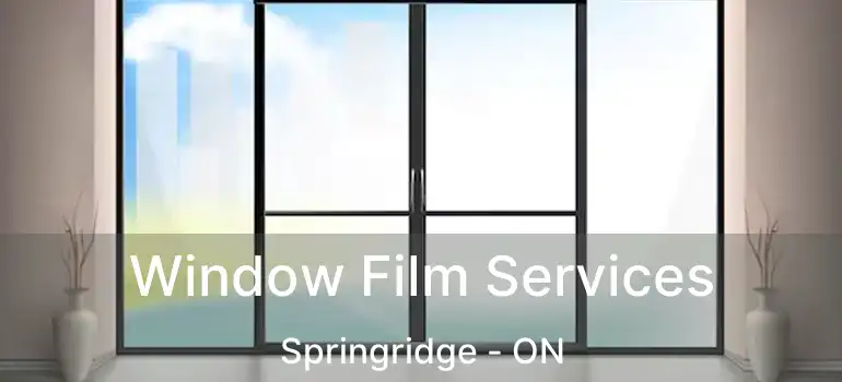  Window Film Services Springridge - ON