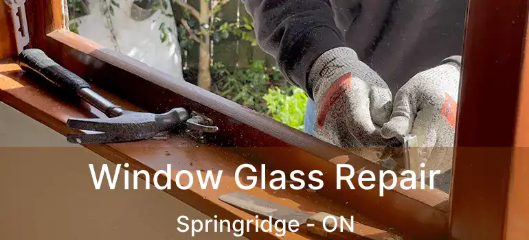  Window Glass Repair Springridge - ON