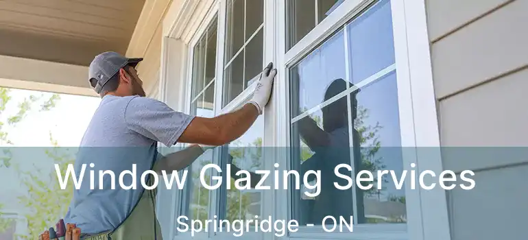  Window Glazing Services Springridge - ON