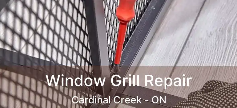  Window Grill Repair Cardinal Creek - ON