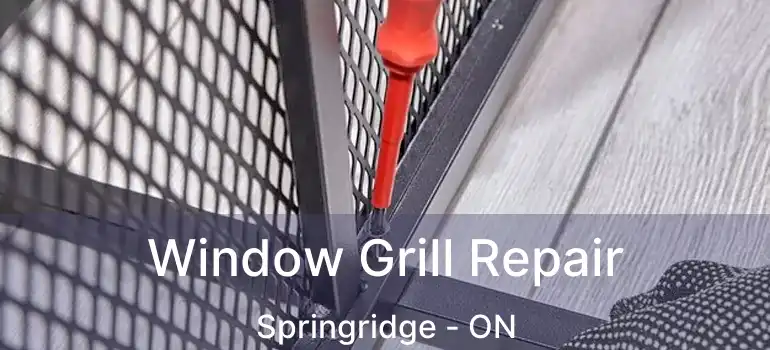  Window Grill Repair Springridge - ON