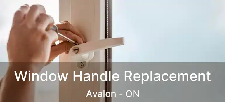  Window Handle Replacement Avalon - ON