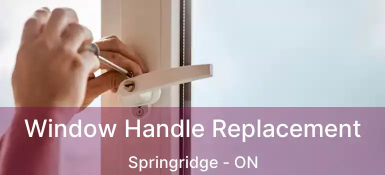  Window Handle Replacement Springridge - ON
