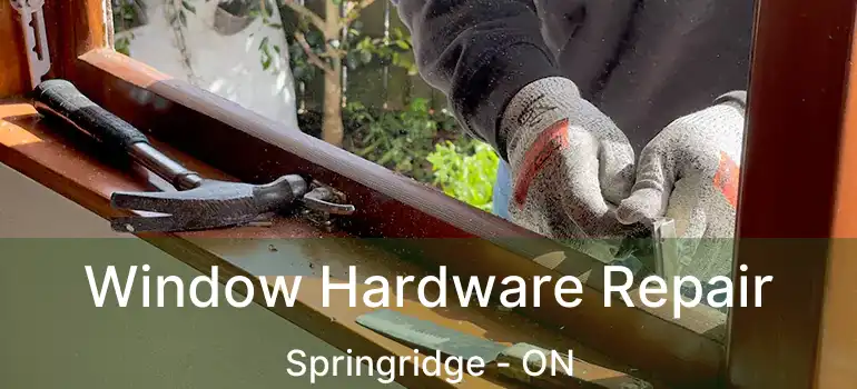  Window Hardware Repair Springridge - ON