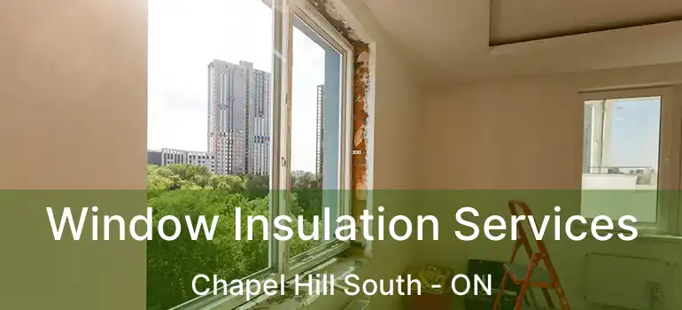  Window Insulation Services Chapel Hill South - ON