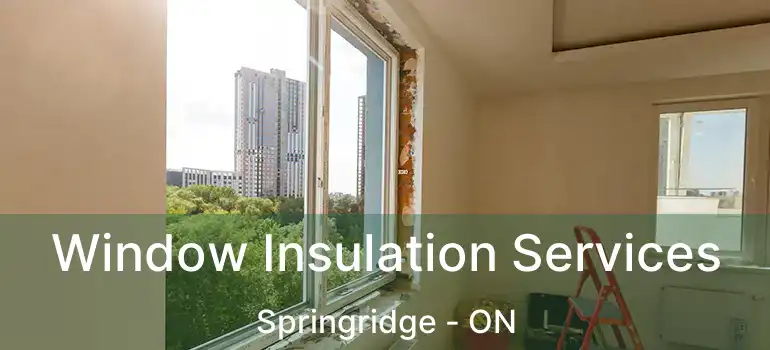  Window Insulation Services Springridge - ON