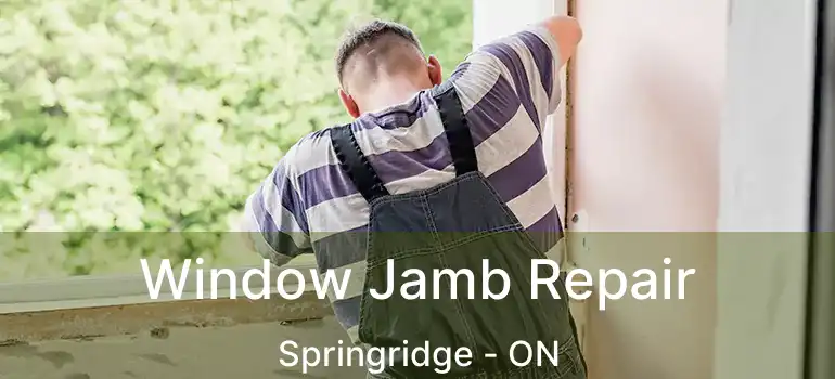  Window Jamb Repair Springridge - ON