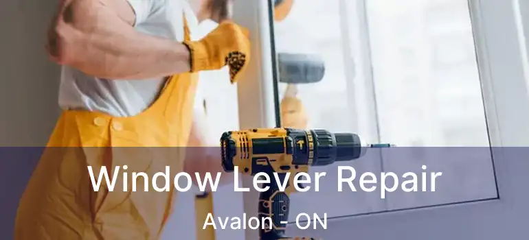 Window Lever Repair Avalon - ON