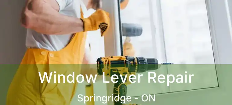  Window Lever Repair Springridge - ON