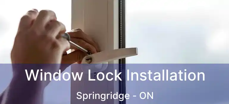  Window Lock Installation Springridge - ON