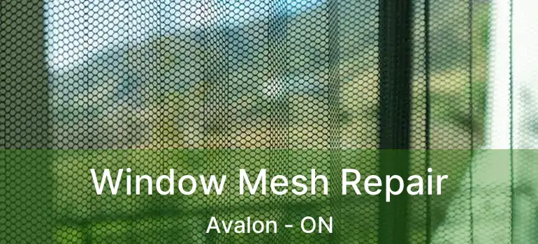  Window Mesh Repair Avalon - ON