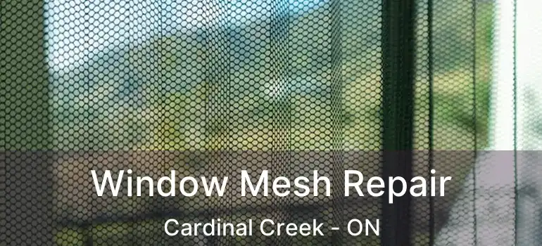 Window Mesh Repair Cardinal Creek - ON