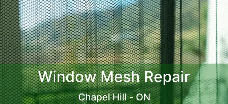  Window Mesh Repair Chapel Hill - ON