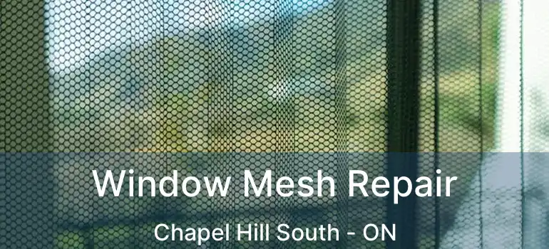  Window Mesh Repair Chapel Hill South - ON