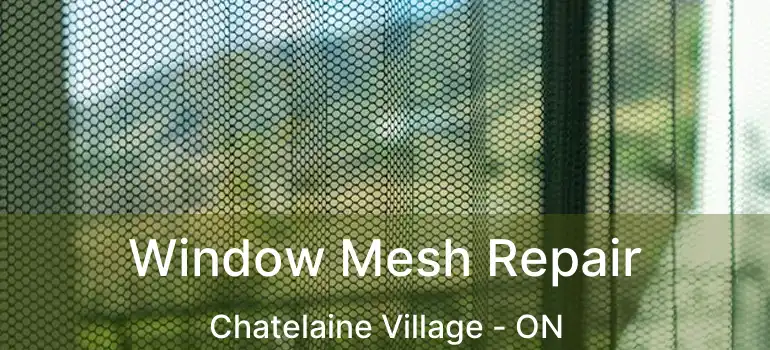  Window Mesh Repair Chatelaine Village - ON