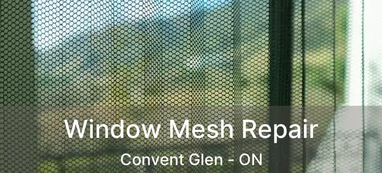  Window Mesh Repair Convent Glen - ON