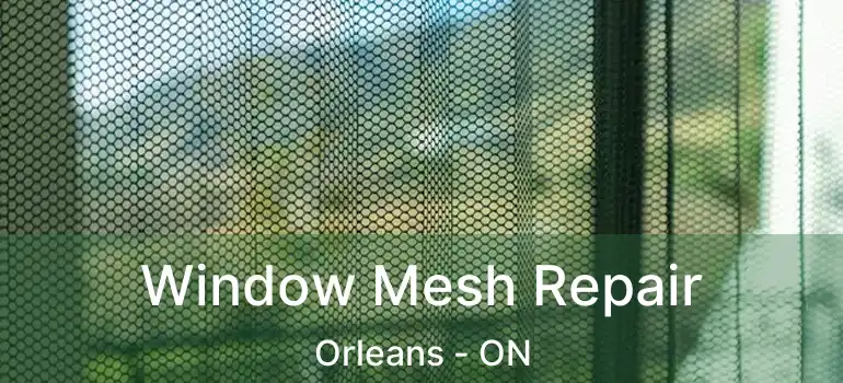  Window Mesh Repair Orleans - ON