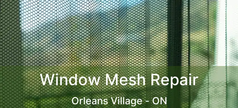  Window Mesh Repair Orleans Village - ON