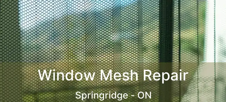  Window Mesh Repair Springridge - ON