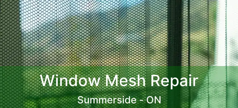  Window Mesh Repair Summerside - ON