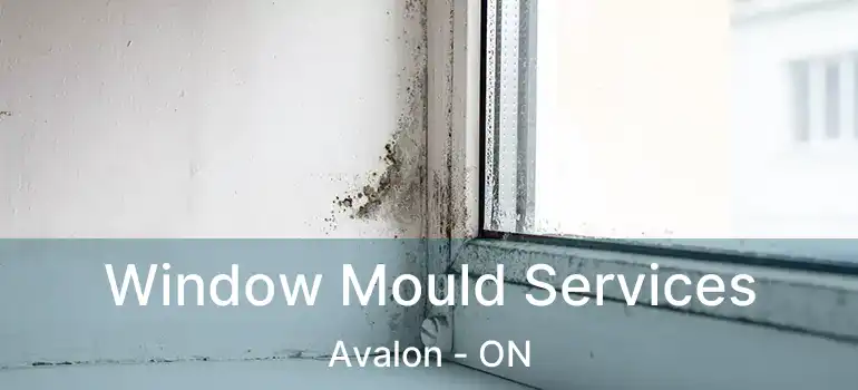  Window Mould Services Avalon - ON