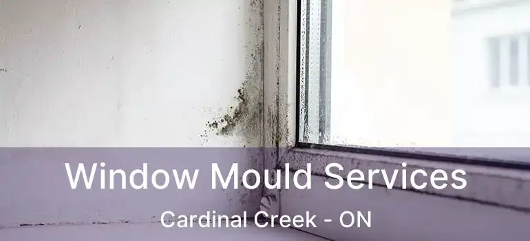  Window Mould Services Cardinal Creek - ON