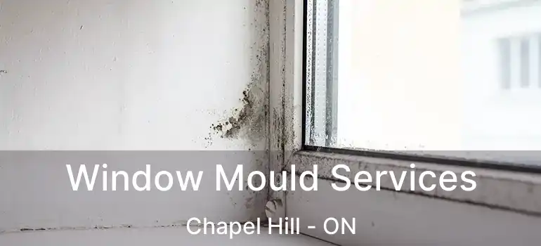  Window Mould Services Chapel Hill - ON