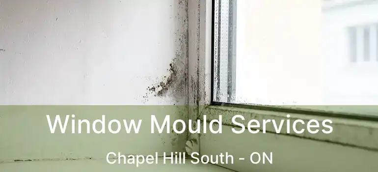  Window Mould Services Chapel Hill South - ON