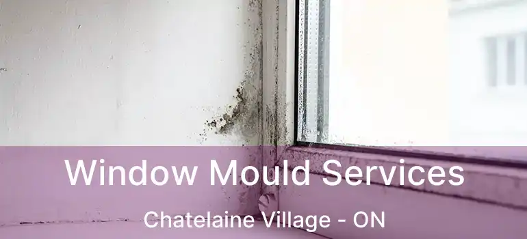  Window Mould Services Chatelaine Village - ON