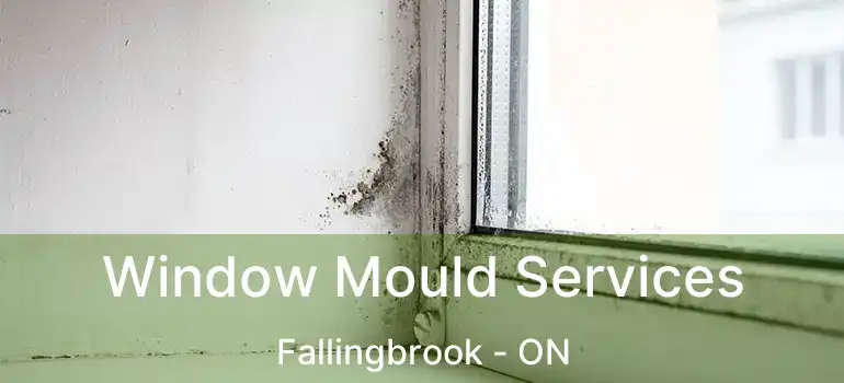  Window Mould Services Fallingbrook - ON