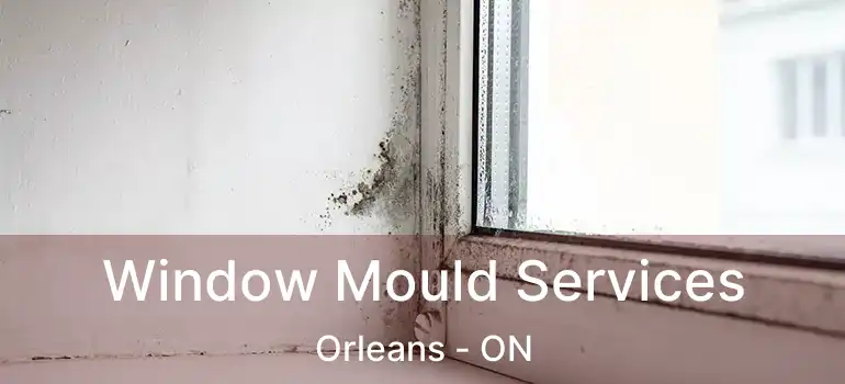  Window Mould Services Orleans - ON